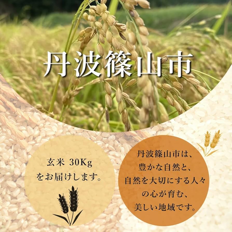 清流育ち 兵庫県丹波篠山米 玄米30kg(減農薬,減学肥料栽培) 清流育ち 兵庫県丹波篠山米 玄米5kg(減農薬,減化学肥料栽培)